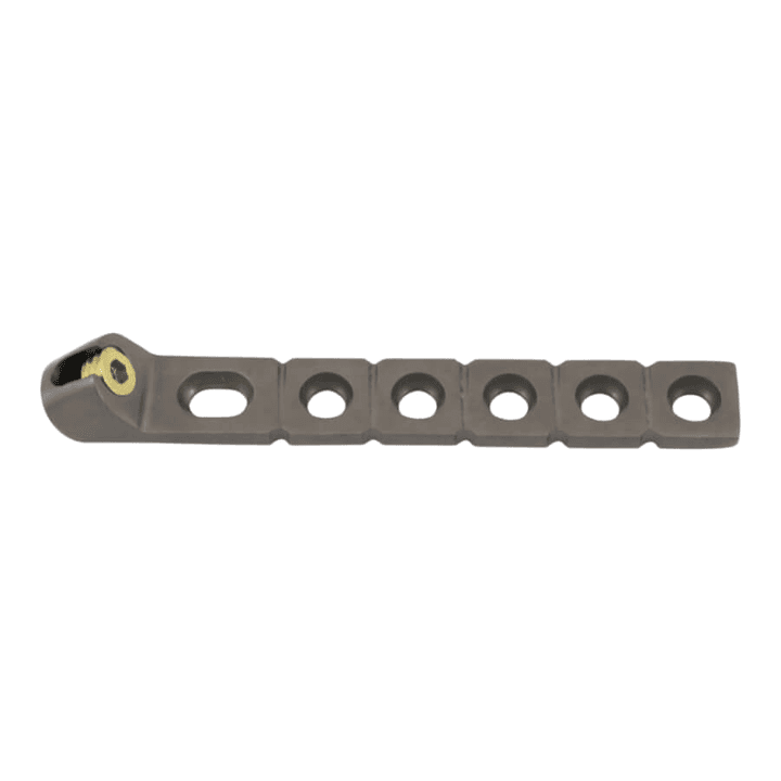 Placa occipital II — referencia T434